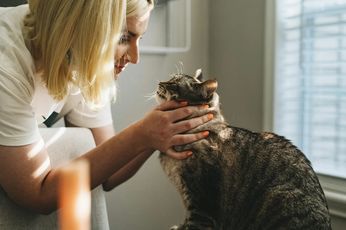 Veterinaria sosteniendo a un gato en brazos